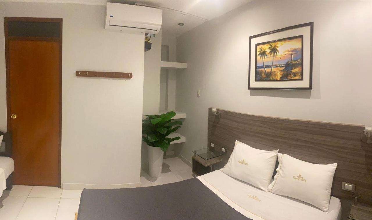 Millennium Hotel Corporative Сан-Висенте-де-Каньете Экстерьер фото